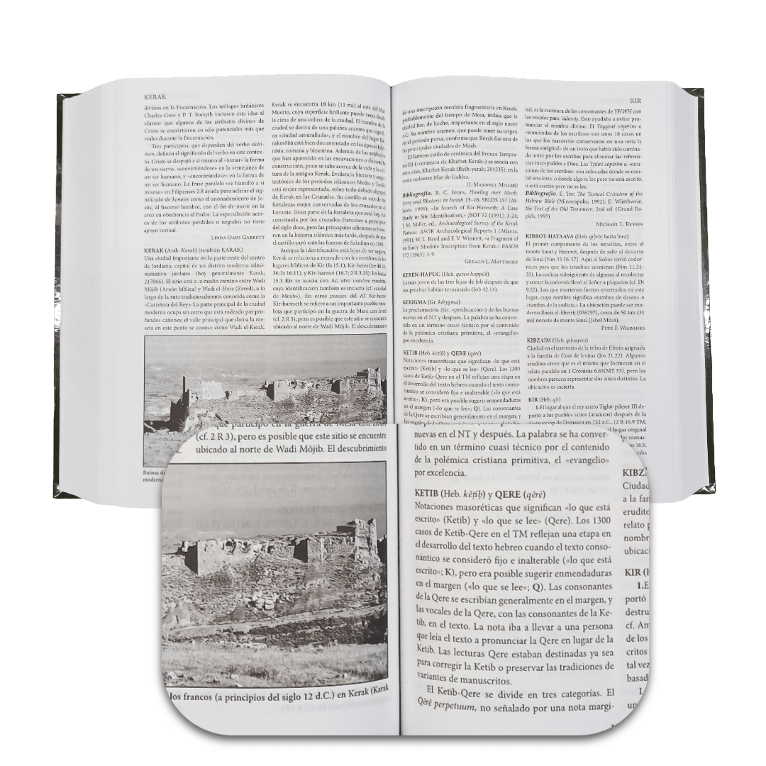 Diccionario Bíblico Eerdmans, Tapa Dura, Estudio