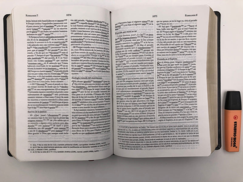 Biblia De Estudio Palabra Clave Con Diccionario Hebreo/grieg