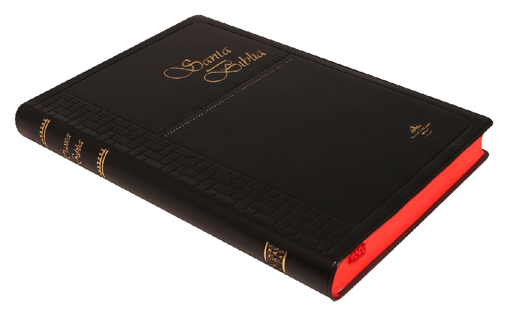 BIBLIA RVR062C LETRA 9p 21x14 TAPA VINIL CONCORDANCIA NEGRO