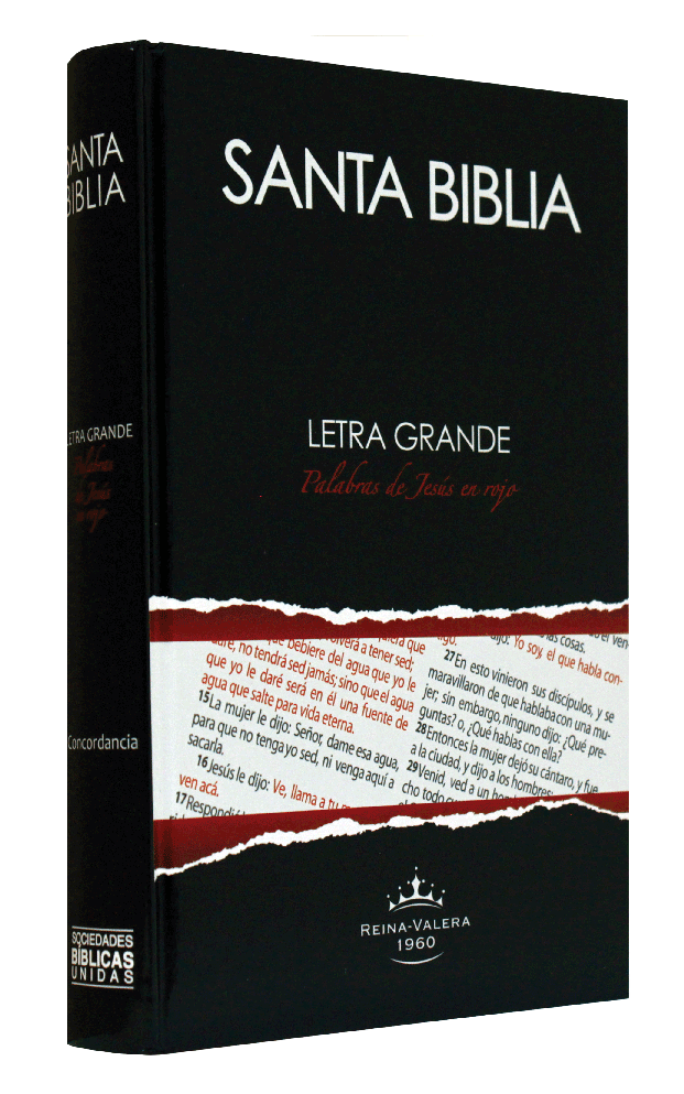 Biblia Reina Valera 1960 Letra Grande Concordancia Tapa Dura PJR Negro