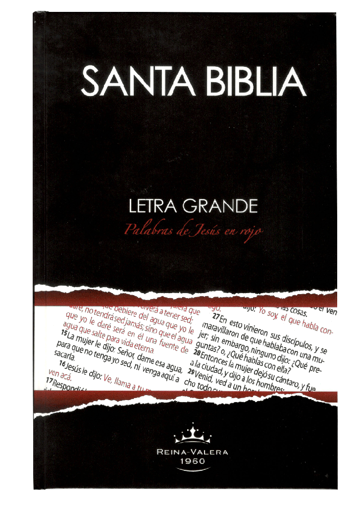 Biblia Reina Valera 1960 Letra Grande Concordancia Tapa Dura PJR Negro