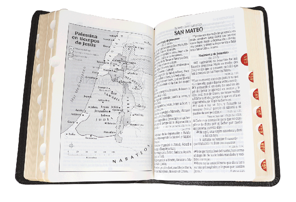 Biblia Pastoral Reina Valera 1960 – Piel Genuina Negro, Concordancia, con Índice, Letra 11 Puntos