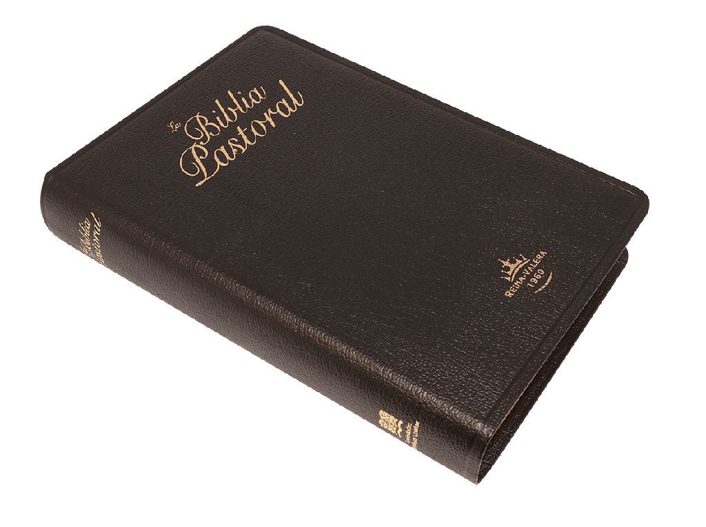 Biblia Pastoral Reina Valera 1960 – Piel Genuina Negro, Concordancia, con Índice, Letra 11 Puntos