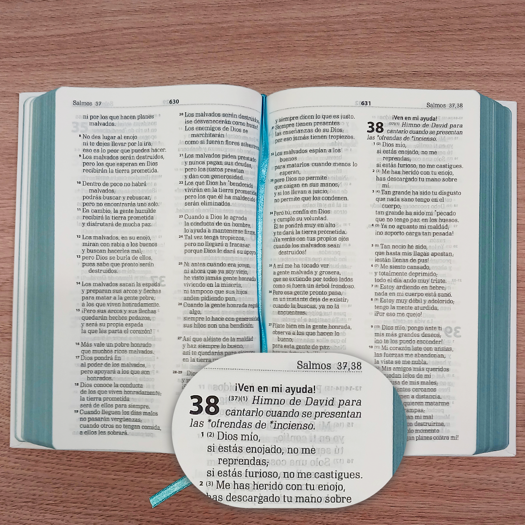 Biblia Traducción Lenguaje Actual – Tapa Dura Blanco, Concordancia, Palabras de Jesús en Rojo, Letra 10 Puntos