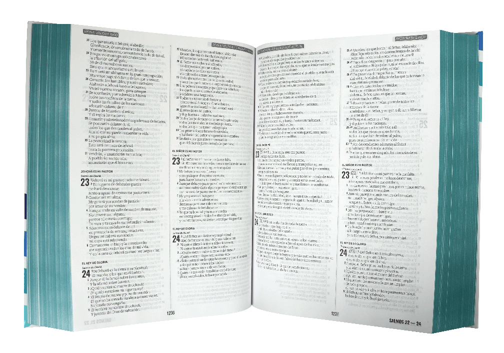 Biblia Multiversiones (4 En 1): RVR1960, RVC, DHH, TLA