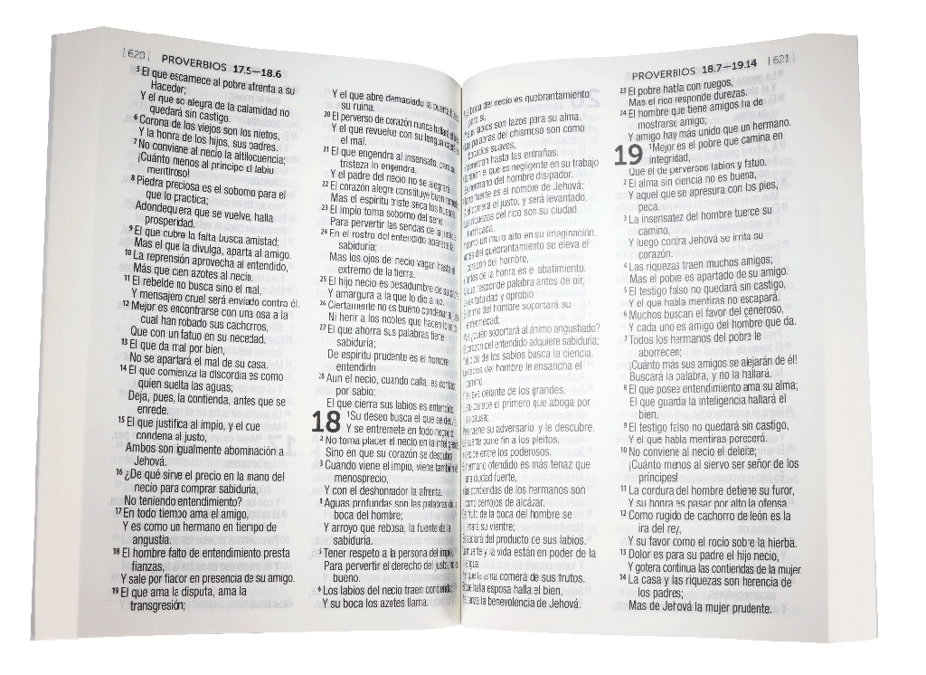 Biblia Reina Valera 1960 Letra Grande Tapa Cartulina