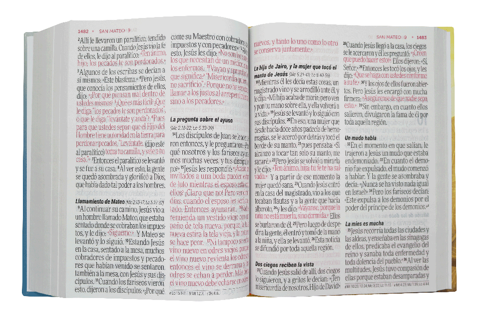 Biblia Reina Valera Contemporánea Letra Super Gigante Concordancia