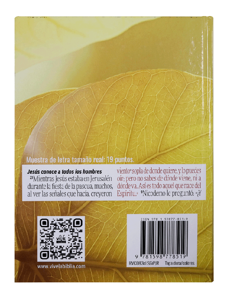 Biblia Reina Valera Contemporánea Letra Super Gigante Concordancia