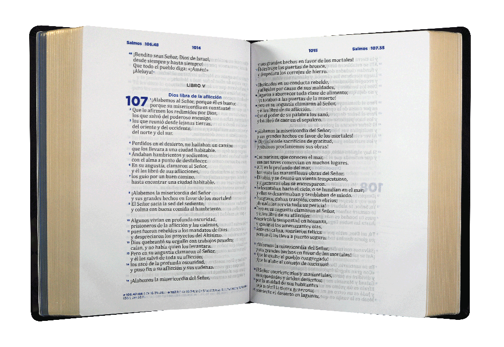 Biblia Pastoral Reina Valera Contemporanea Letra Grande Concordancia Tapa Fina PU