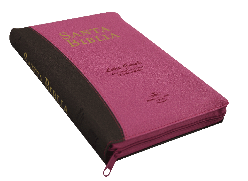 Biblia Reina Valera 1960 Letra Grande  Conc. Cierre Palabra de Jesús en Cursiva Tapa Fina PU Fucsia Marron