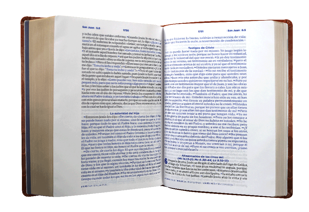 Biblia Pastoral Reina Valera Contemporanea Letra Grande Concordancia Tapa Fina PU Marron