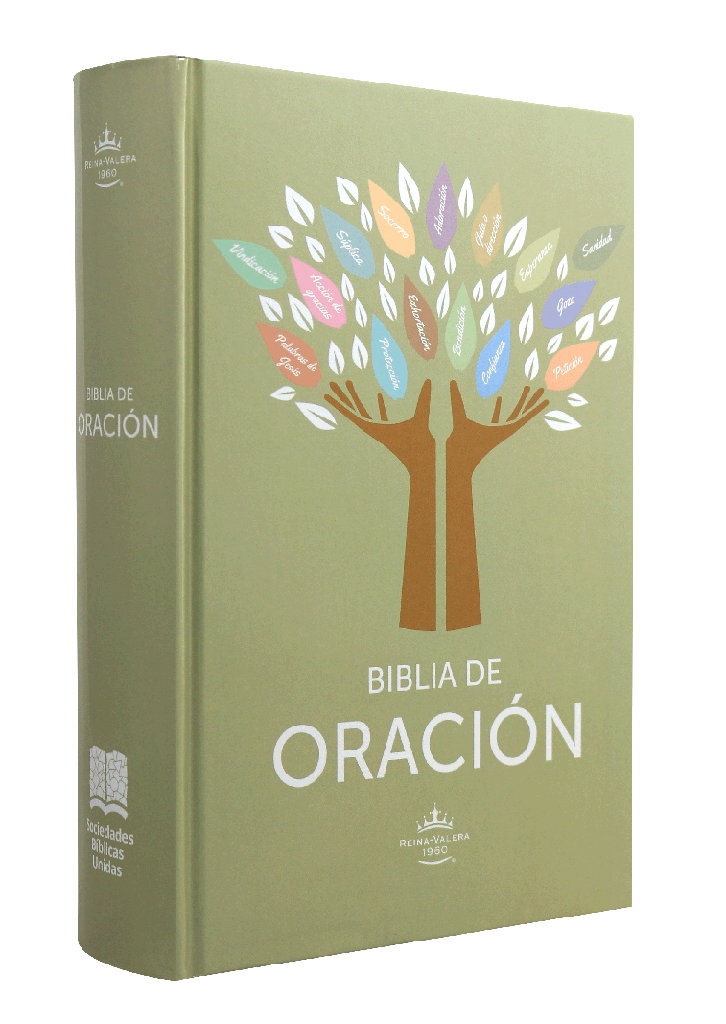 Biblia Reina Valera 1960 Oracion Concordancia Letra Gigante 16 Puntos Tapa Dura