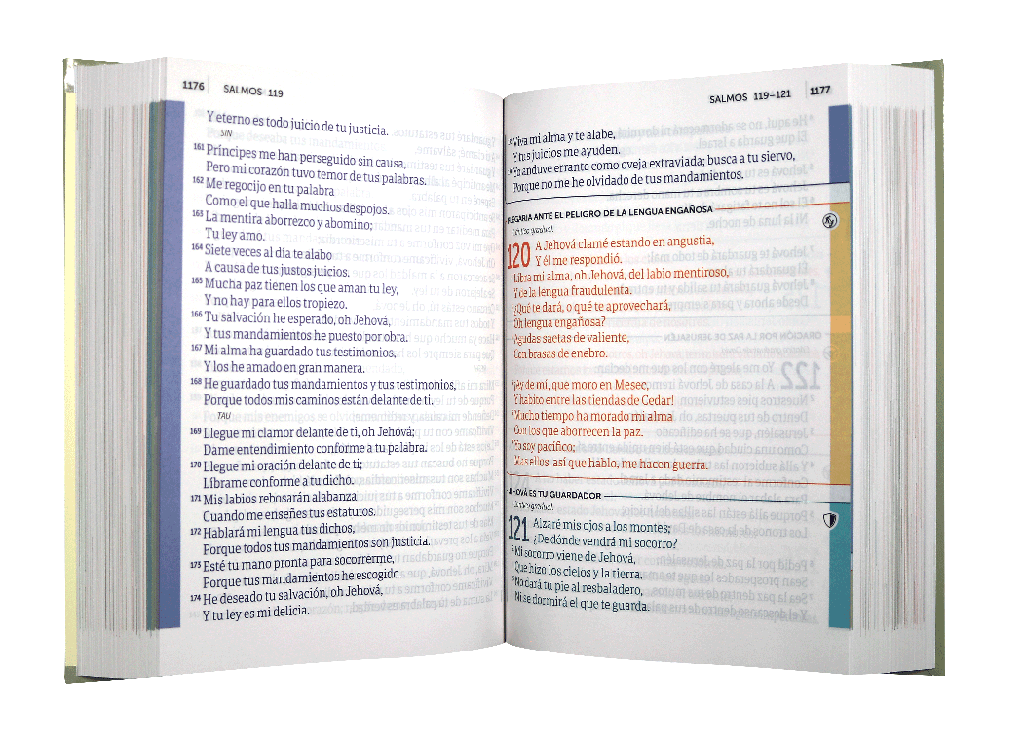 Biblia Reina Valera 1960 Oracion Concordancia Letra Gigante 16 Puntos Tapa Dura