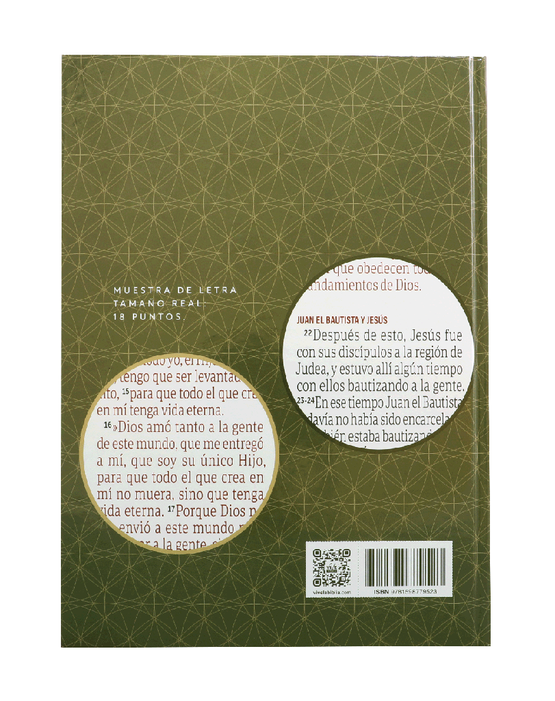 Biblia Traducción Lenguaje Actual Letra Gigante PJR Tapa Dura Verde