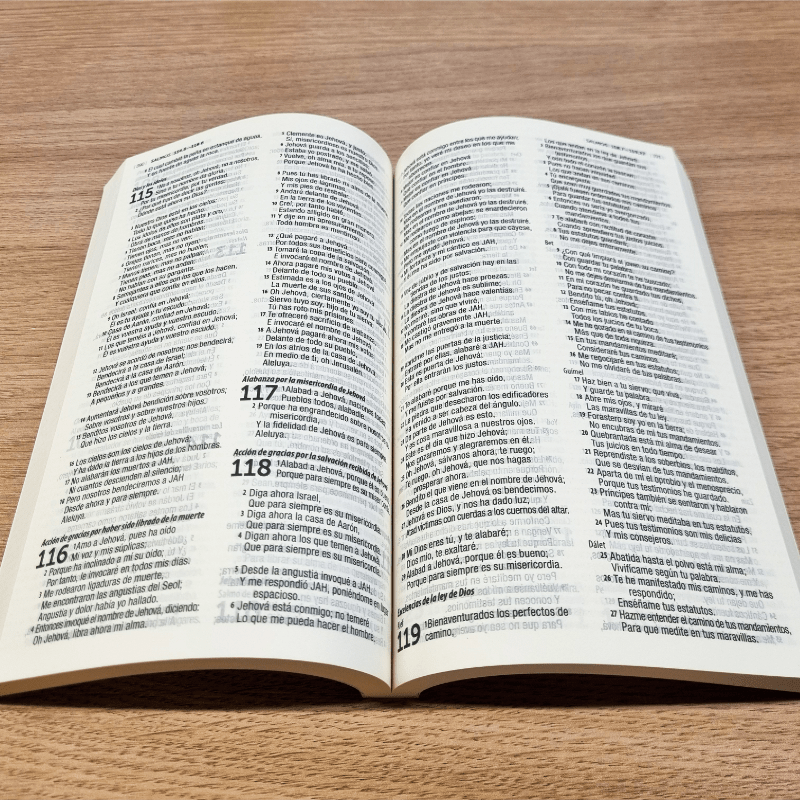 Biblia Reina Valera 1960 económica 1M – Tapa Cartulina Flores Rosas, 14 x 21 cm, Letra 9 Puntos