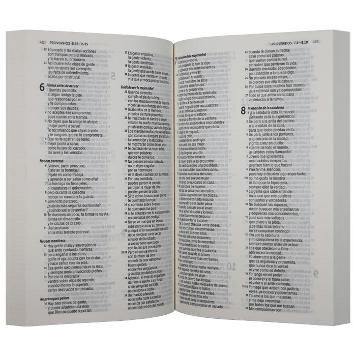 Biblia Traducción Lenguaje Actual Misionera Económica 1M