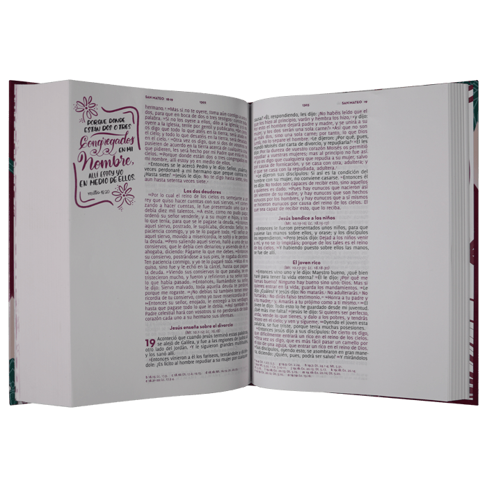 Biblia Reina Valera 1960 Adoro Flores Letra Grande 12 Puntos Tapa Dura