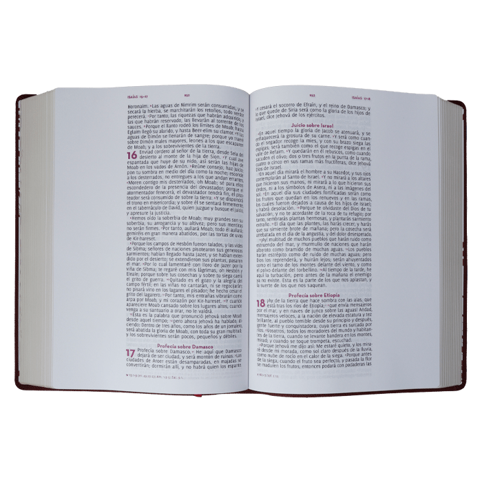 Biblia Reina Valera 1960 Letra Gigante Palabras de Jesús en Rojo Adoro Tapa Dura