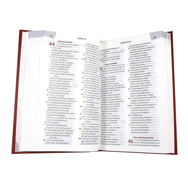 Biblia Traducción Lenguaje Actual Letra Grande PJR 21x13 TD Salud Emocional Roja
