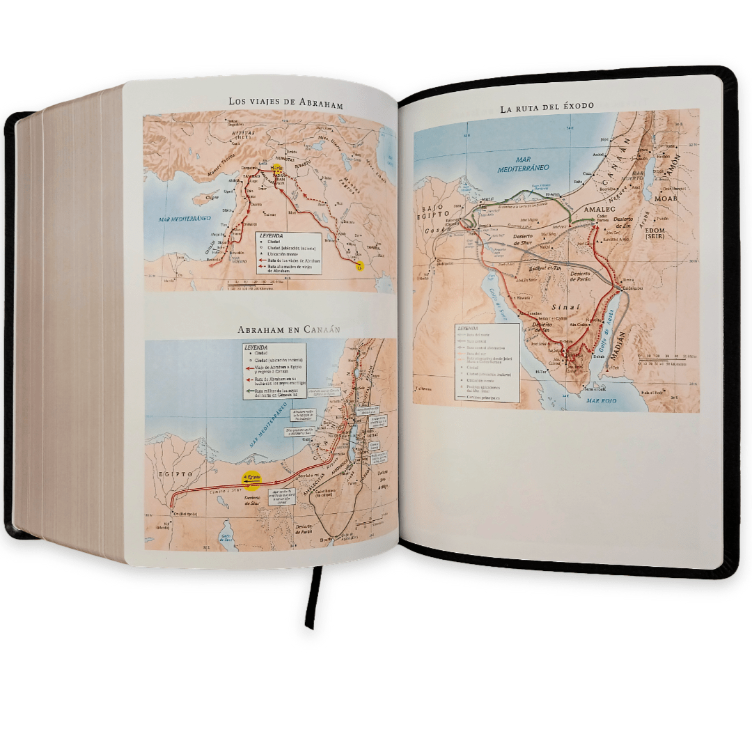 Biblia Estudio De La Reforma Piel Genuina Editor R. C. Sproul