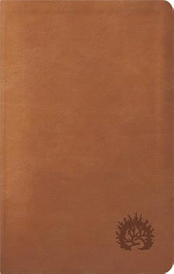 La Biblia De Estudio De La Reforma Nueva Biblia de las Amercias Edicion Condensada Simil Piel Café