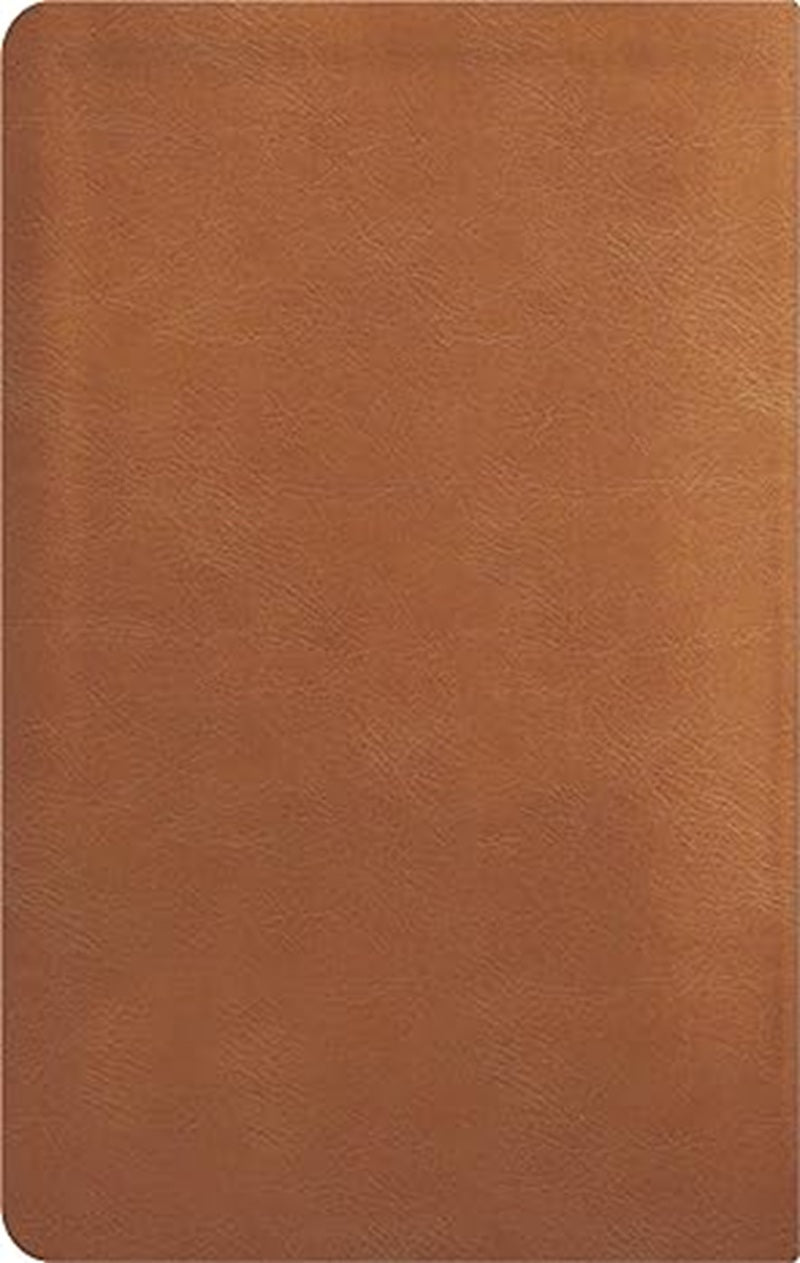 La Biblia De Estudio De La Reforma Nueva Biblia de las Amercias Edicion Condensada Simil Piel Café