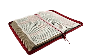 Biblia RVR 1960 Letra 10 Pts 14 X 21 Imit Piel Fucsia Cierre