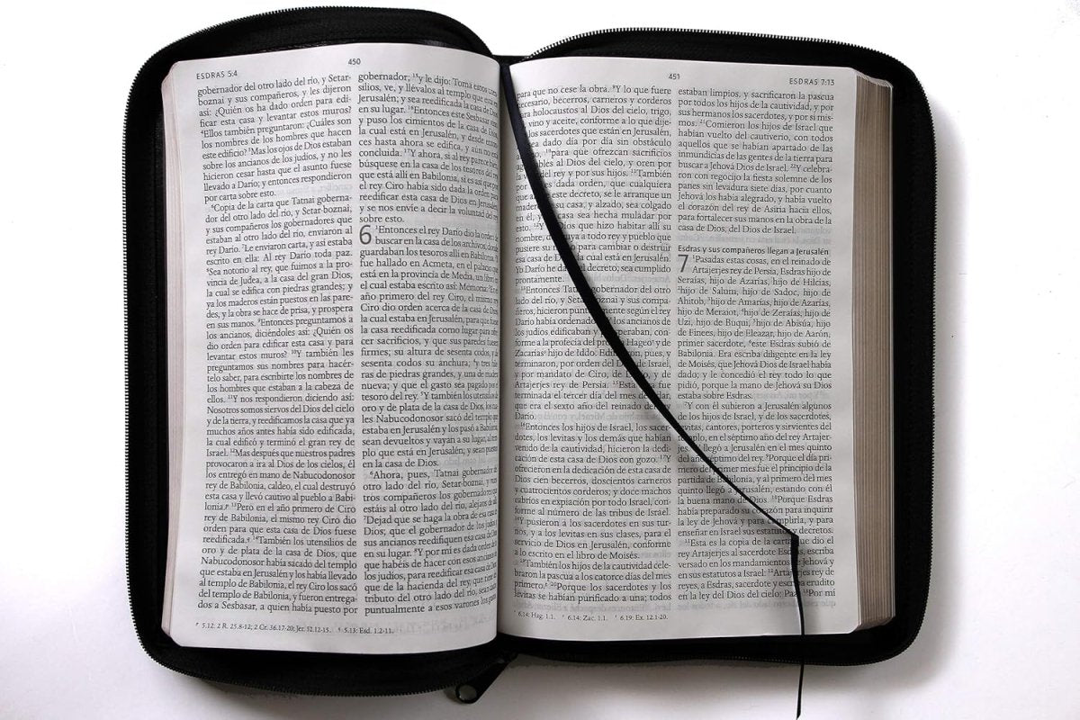 Biblia Reina Valera 1960 · Letra grande · Tapa piel color negro · Con cierre