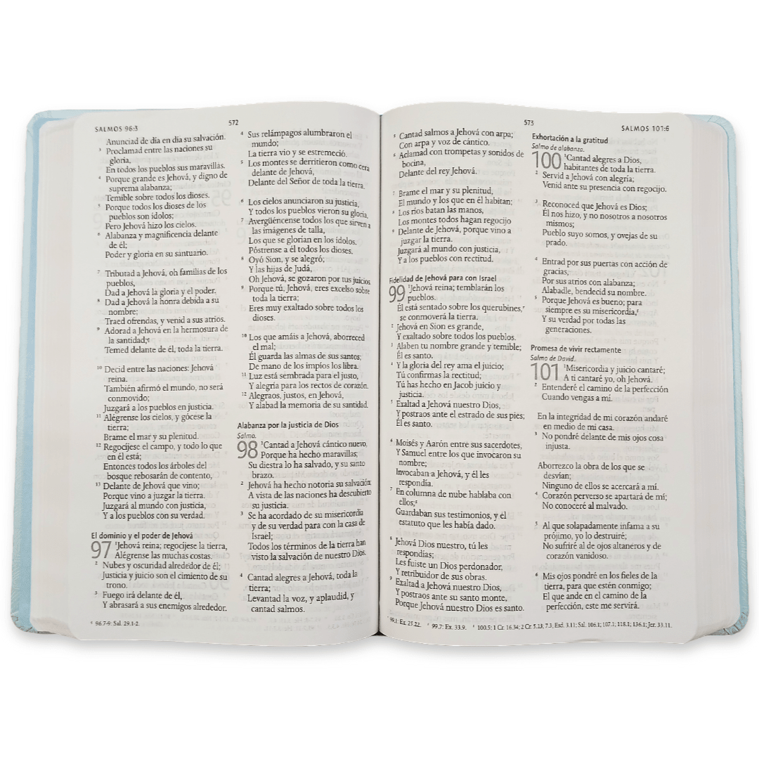Biblia Reina Valera 1960 con Concordancia y Palabras de Jesús en Rojo – Tapa Dura Flores Celeste, Letra 10.5pt, 14x20 cm