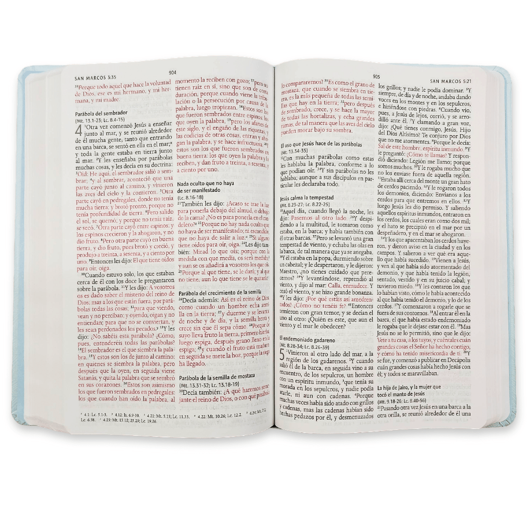 Biblia Reina Valera 1960 con Concordancia y Palabras de Jesús en Rojo – Tapa Dura Flores Celeste, Letra 10.5pt, 14x20 cm