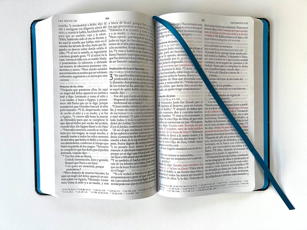 Biblia Reina Valera 1960 Letra Mediana Tamaño Manual Tapa Dura De Tela Leon Aguamarina