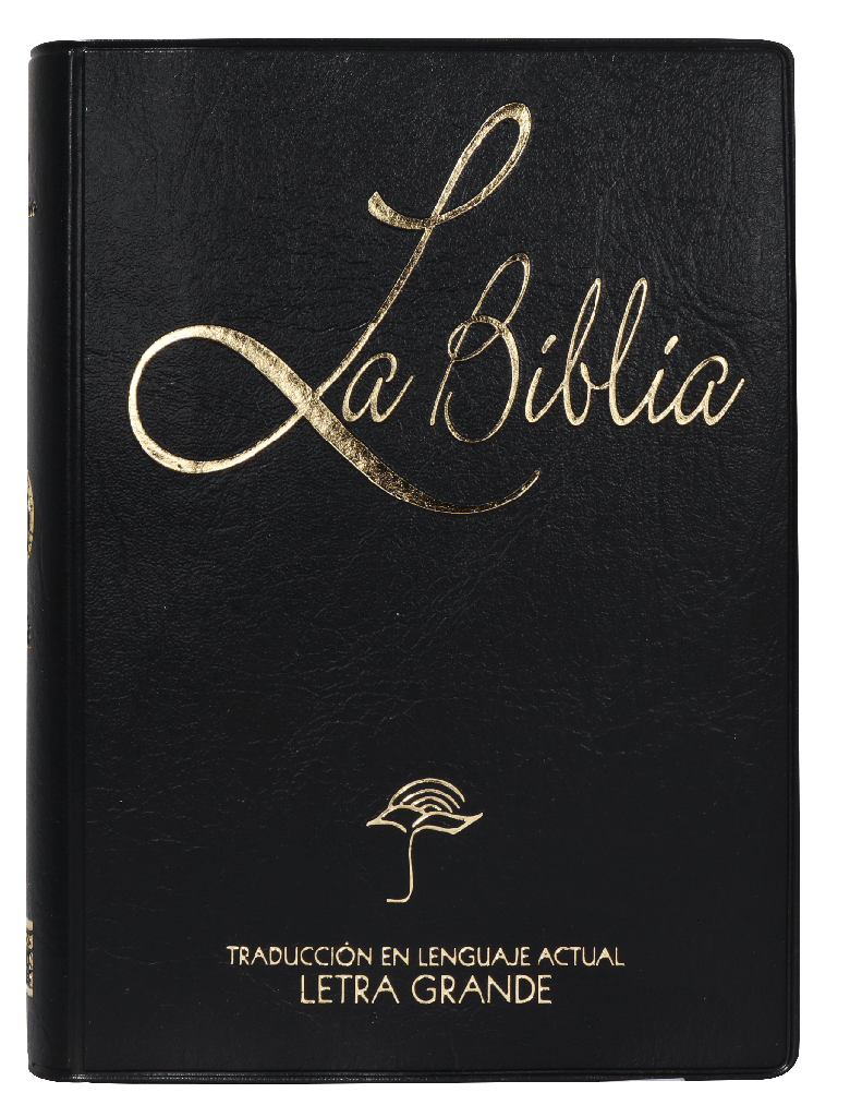 Biblia Traducción Lenguaje Actual Tapa Vinilica Negro Letra 10 puntos