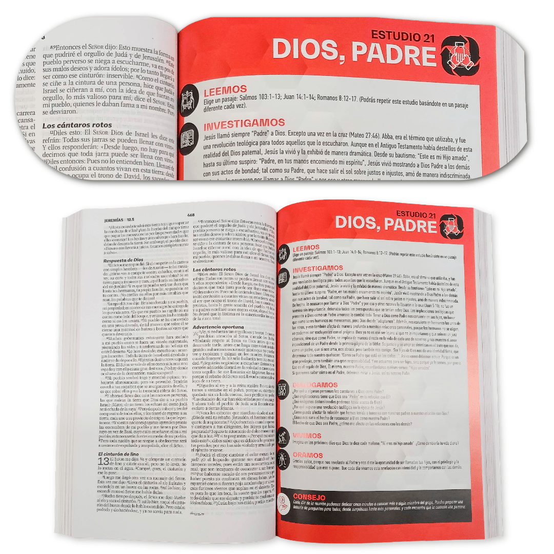 Biblia Para Grupos Pequeños Nueva Biblia Viva Tapa Rústica