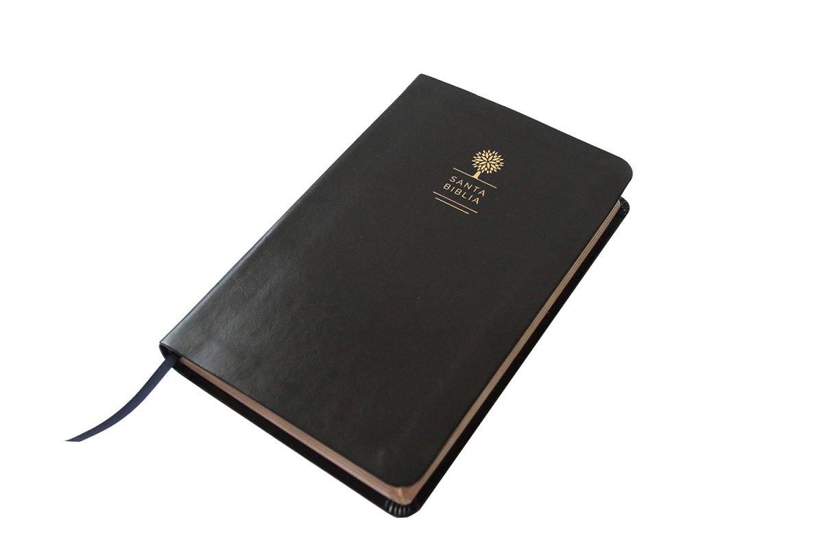 Biblia Reina Valera 1960 · Letra grande · Tapa piel color negro