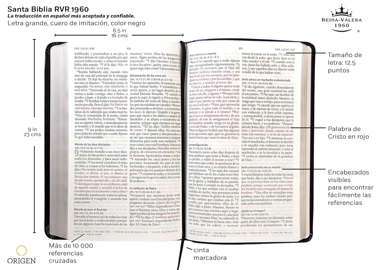 Biblia Reina Valera 1960 · Letra grande · Tapa piel color negro