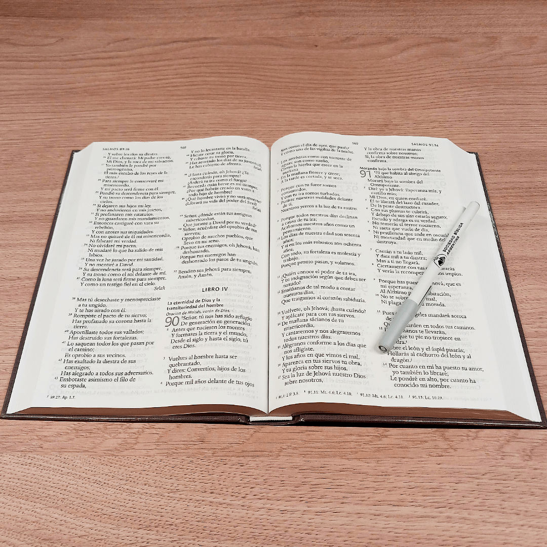 Biblia Reina Valera 1960 con Concordancia y Palabras de Jesús en Rojo – Tapa Dura Gris, Letra 12.5pt, 16x24 cm
