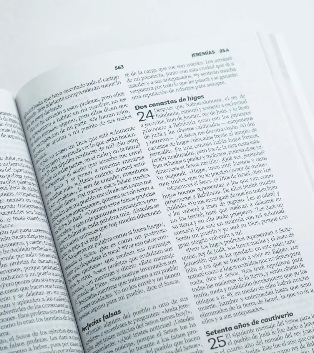 Biblia Devocional Matrimonial - Rústica