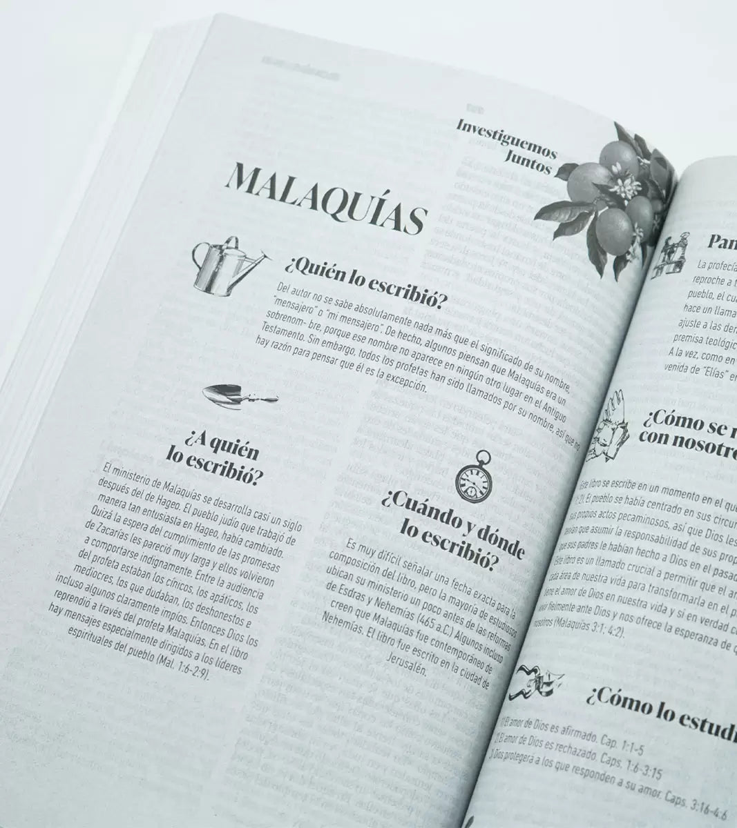 Biblia Devocional Matrimonial - Rústica