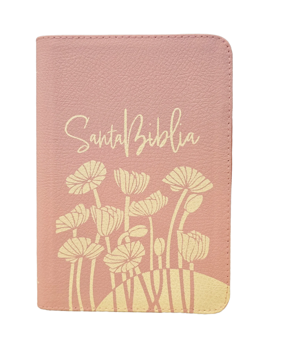 BIBLIA REINA VALERA 1960 65ueZ 21x13 CIERRE TAPA IMITACION PIEL ROSA