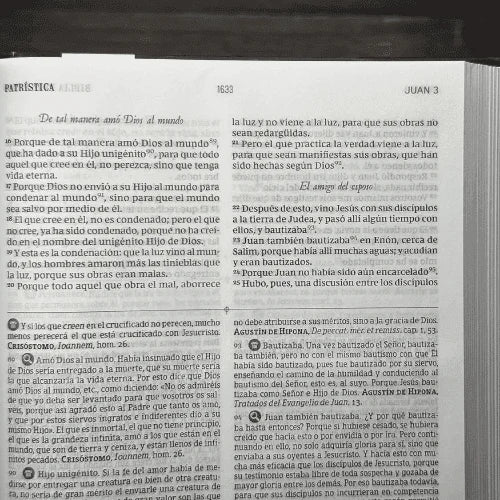 Biblia Reina Valera Revisada 2017 De Estudio Patrística Tapa Dura, Interior A Dos Colores, Con Índice, Palabras De Jesús En Rojo Idx