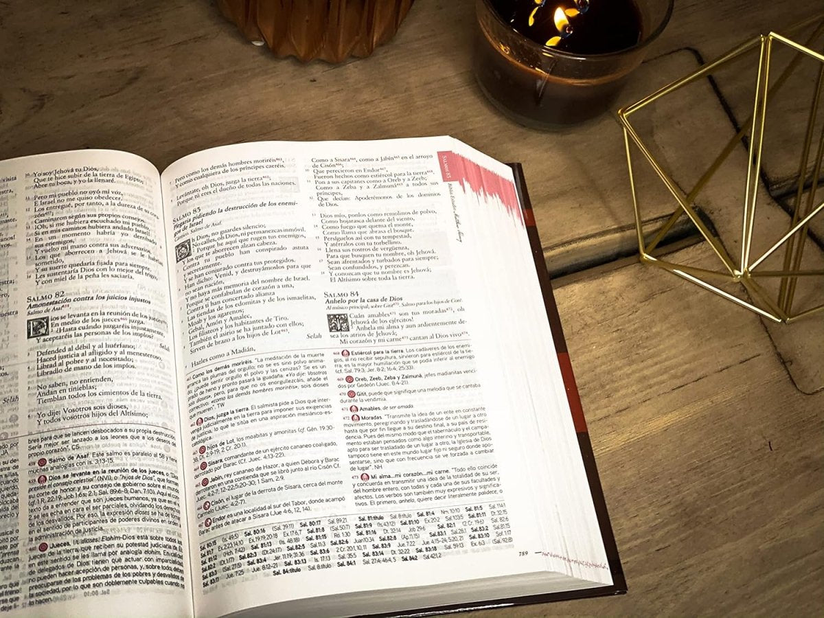 Biblia Reina Valera 1960 De Estudio Matthew Henry