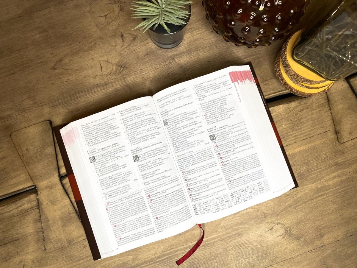 Biblia Reina Valera 1960 De Estudio Matthew Henry