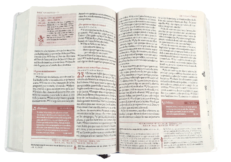 Biblia Reina Valera 1960 Letra Grande Estudio Mujer Flores con cuadro decorativo