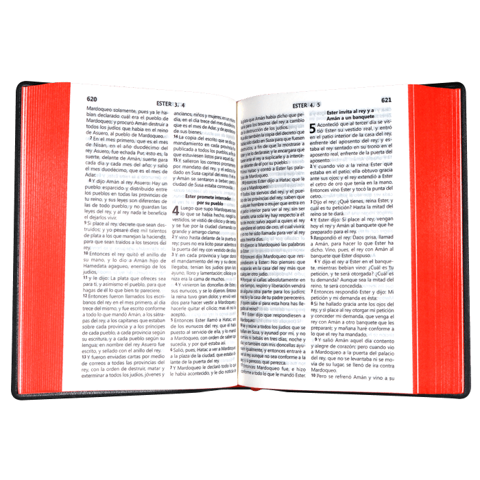 Biblia Reina Valera 1960 Letra Mediana  16x11 Tapa Vinilica Concord. Negro