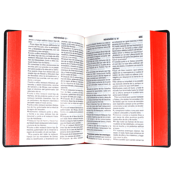 Biblia Reina Valera 1960 Letra Mediana 16x11 Tapa Vinilica Concord. Bordó