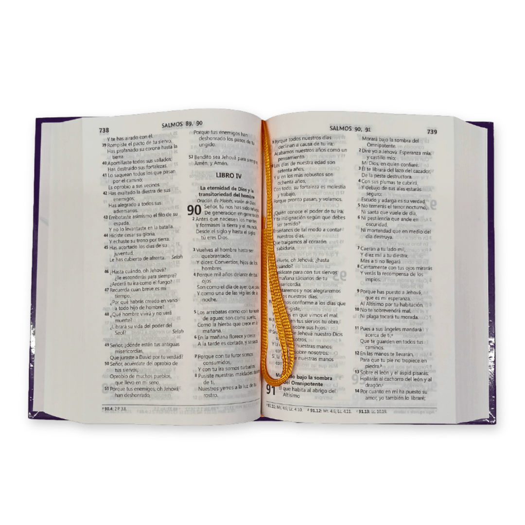 Biblia Reina Valera 1960 Letra Mediana 11x16cm TD