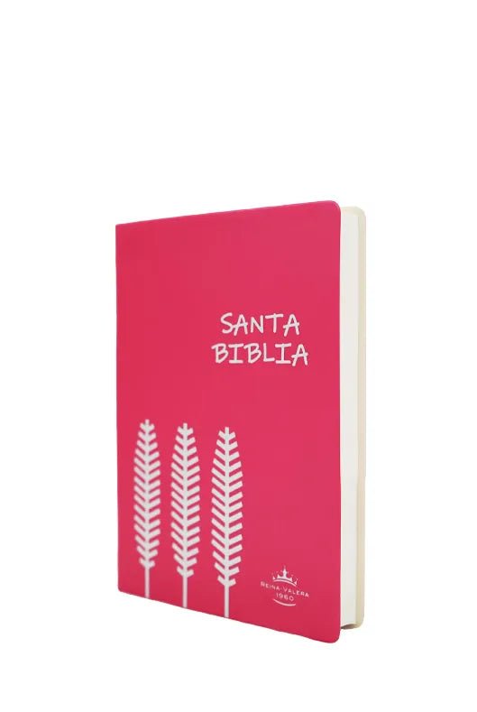 BIBLIA RVR042e LETRA 12x16 TAPA PLASTICA ROSA