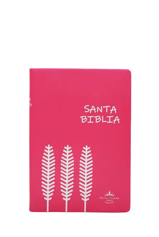BIBLIA RVR042e LETRA 12x16 TAPA PLASTICA ROSA