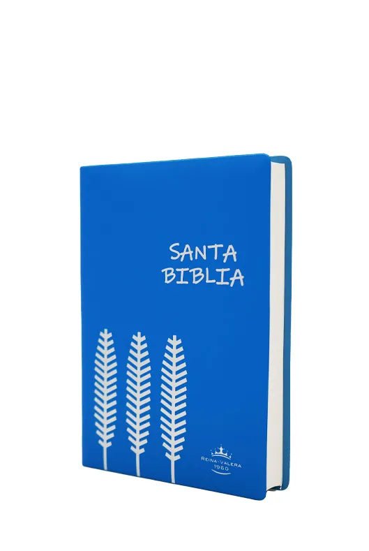 BIBLIA RVR042e LETRA 12x16 TAPA PLASTICA JP AZUL