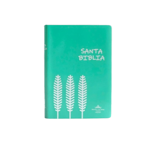 Biblia Reina Valera 1960 Letra Compacta 9 puntos 12 x 17 cm Tapa Vinilica Verde Económica